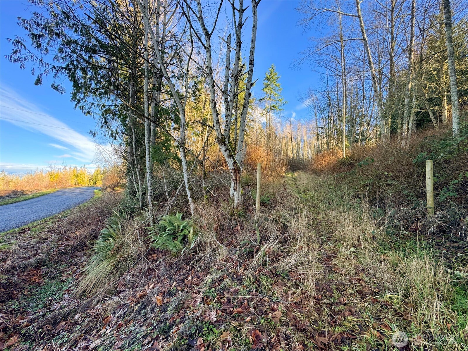 2495 Chicken Coop Road Sequim, WA 98382 - Photo 35 of 40