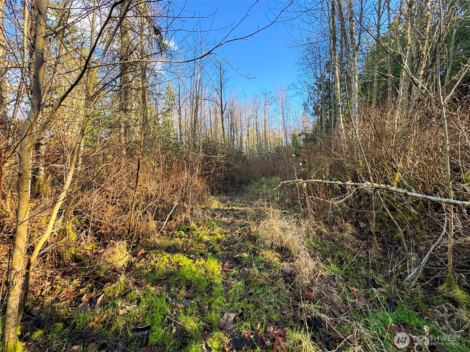 2495 Chicken Coop Road Sequim, WA 98382 - Photo 36 of 40