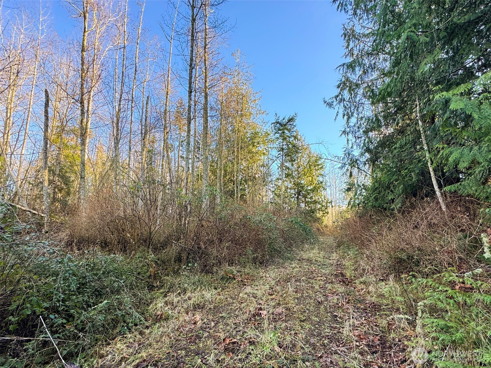 2495 Chicken Coop Road Sequim, WA 98382 - Photo 37 of 40