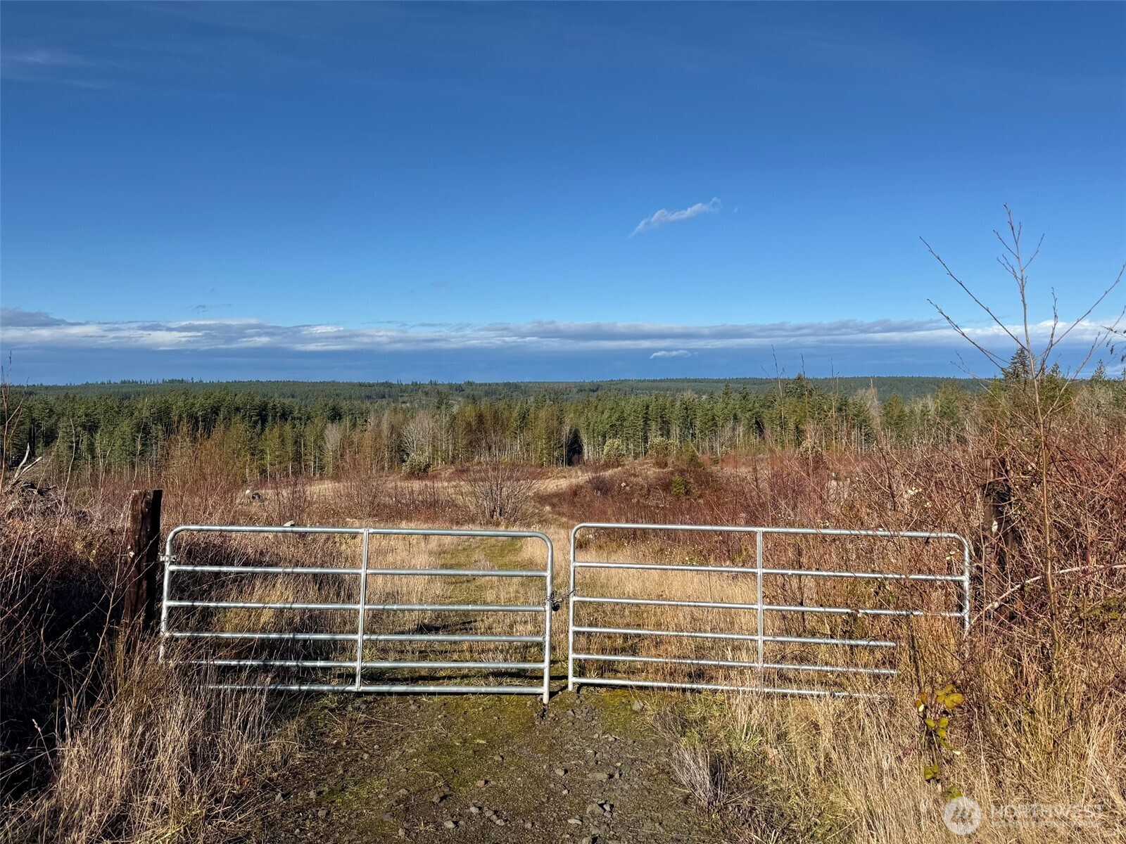 2495 Chicken Coop Road Sequim, WA 98382 - Photo 6 of 40