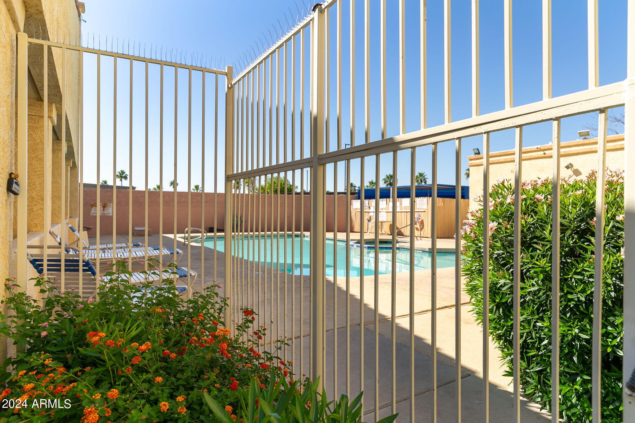 12221 West Bell Road, Unit 280 Surprise, AZ 85378 - Photo 21 of 24 Community Pool2