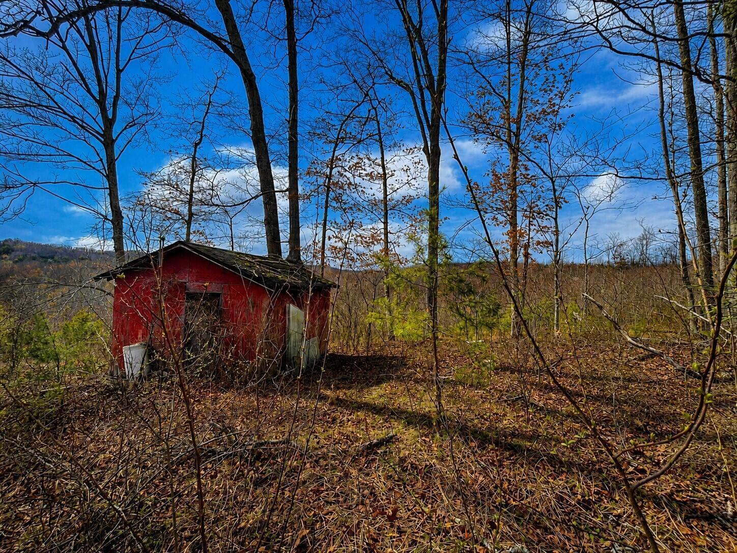 799 Woodruff Road Vinton, OH 45686 - Photo 1 of 4 ChatGPT Image Jul 15, 2026, 02_20_52 PM