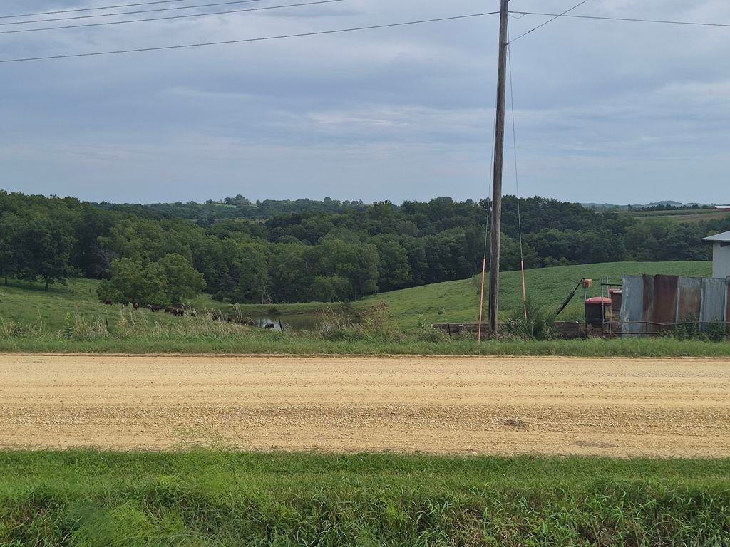 33847 Crystal Road Strawberry Point, IA 52076 - Photo 6 of 7 Gallery Image 6