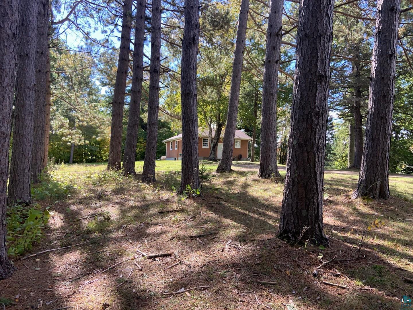 3296 Midway Road Proctor, MN 55810 - Photo 30 of 33 Beautiful pines!