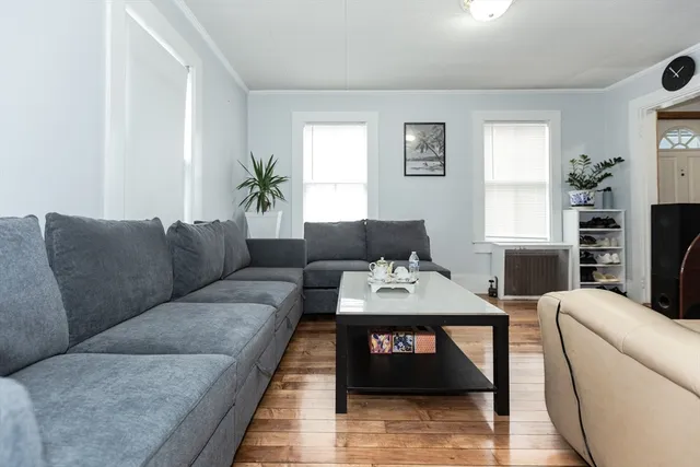 a living room with furniture a table and a potted plant