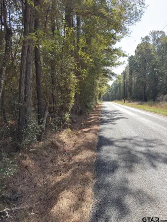 a view of a forest filled with trees