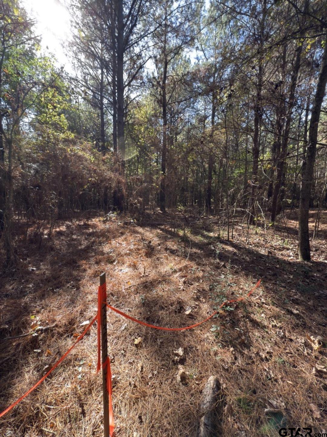 Tbd-b Boggy Road Waskom, TX 75692 - Photo 11 of 12 a street sign on a road