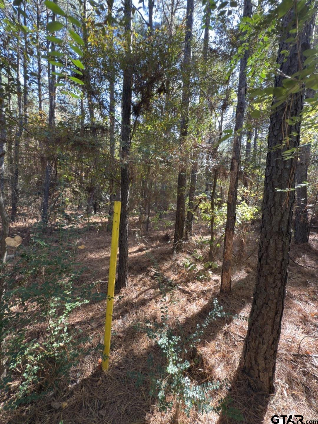 Tbd-b Boggy Road Waskom, TX 75692 - Photo 2 of 12