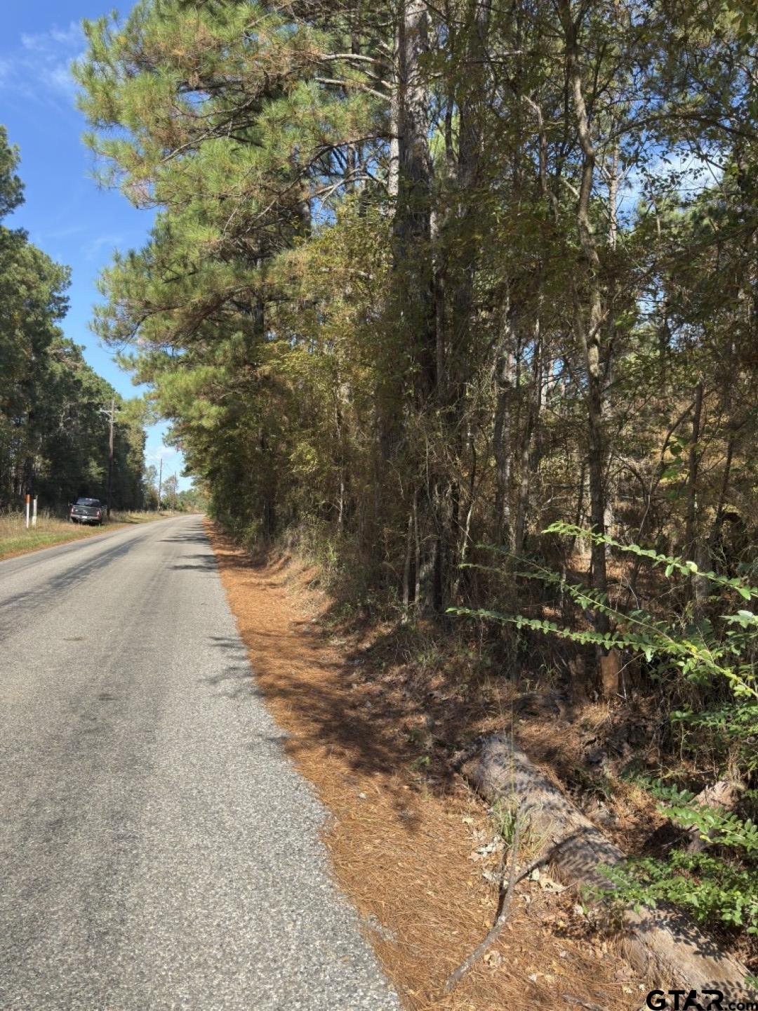Tbd-b Boggy Road Waskom, TX 75692 - Photo 6 of 12 a view of dirt yard with a trees