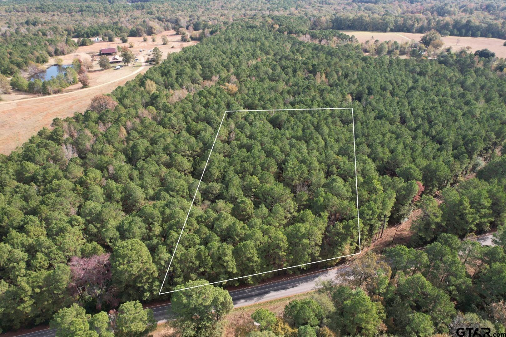 Tbd-b Boggy Road Waskom, TX 75692 - Photo 7 of 12