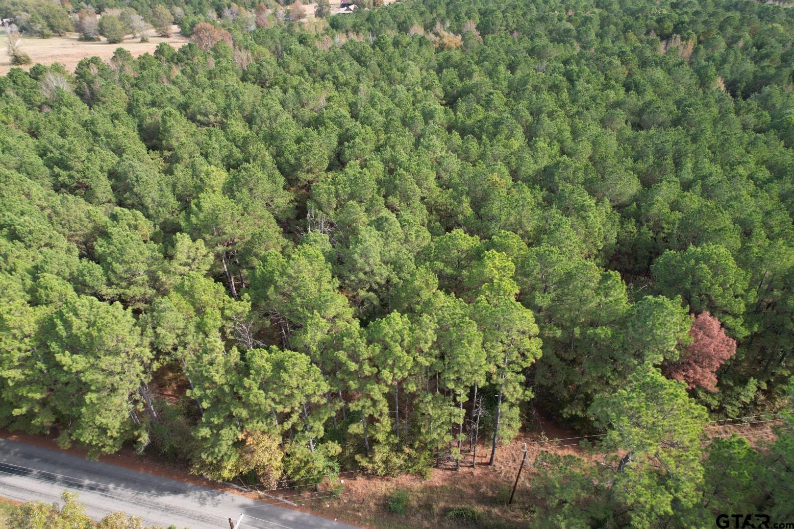 Tbd-b Boggy Road Waskom, TX 75692 - Photo 8 of 12
