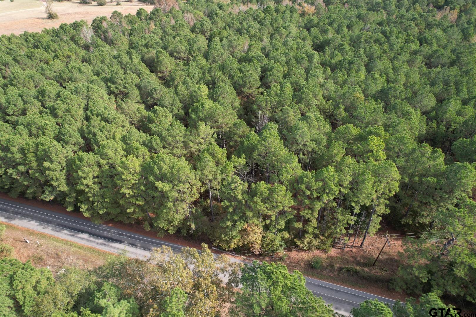 Tbd-b Boggy Road Waskom, TX 75692 - Photo 9 of 12 a view of a yard with plants and a bench under a large tree
