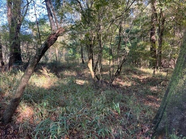 0 Unnamed Road Florala, AL 36442 - Photo 28 of 39 Gallery Image 28