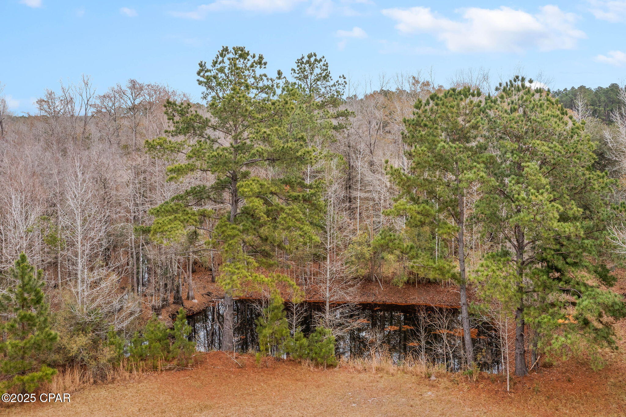 2864 Clayton Road Bonifay, FL 32425 - Photo 2 of 69