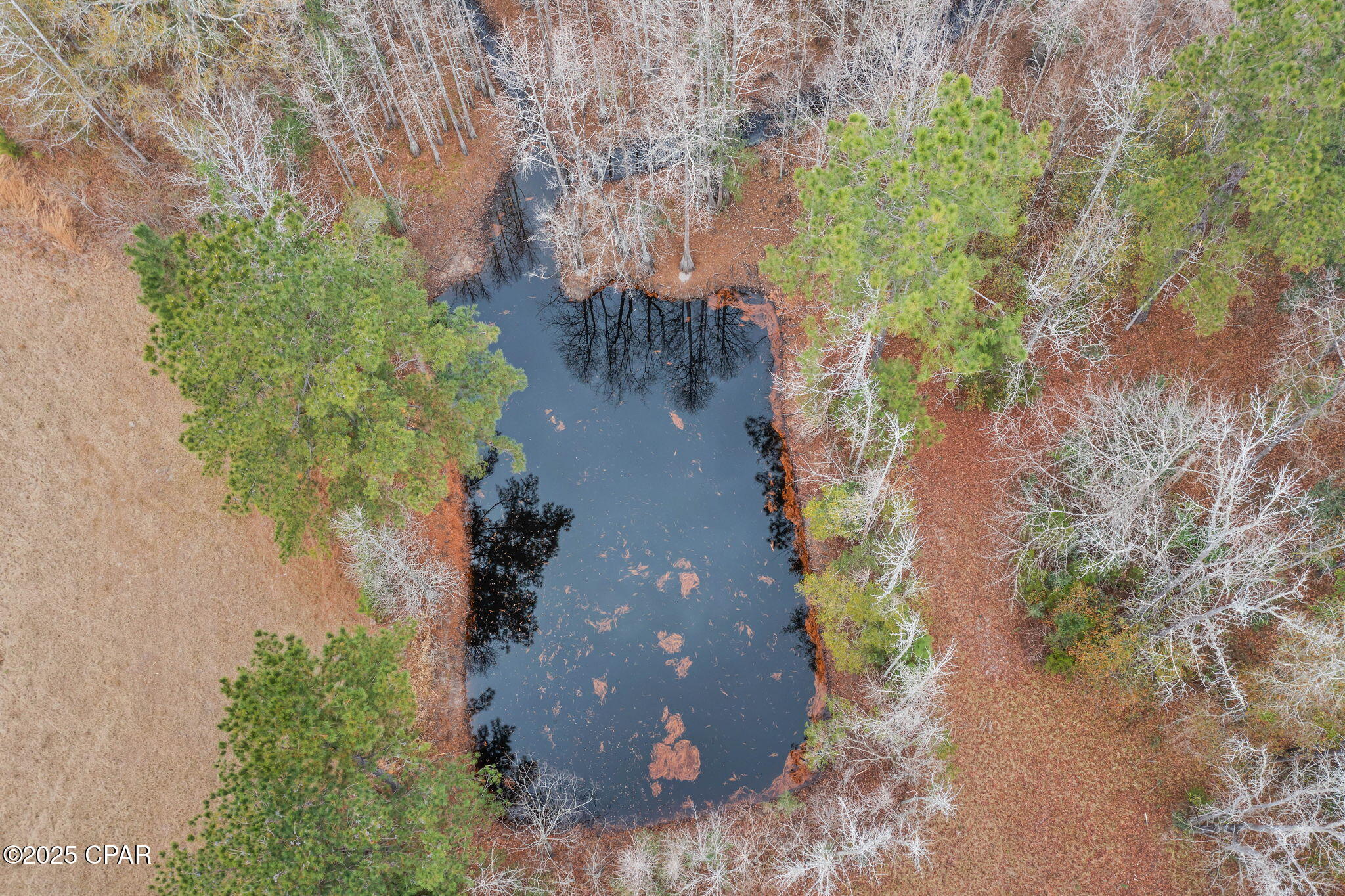 2864 Clayton Road Bonifay, FL 32425 - Photo 57 of 69