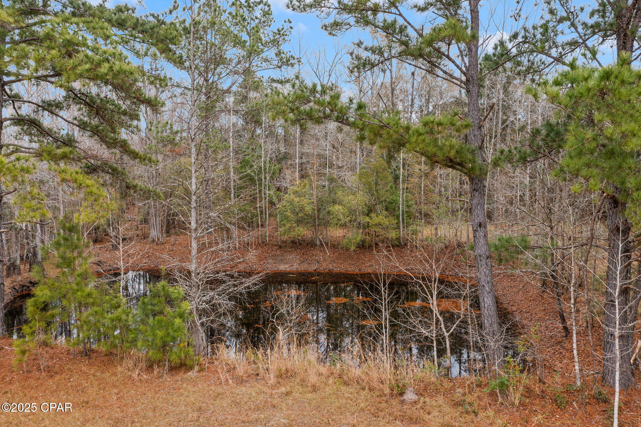 2864 Clayton Road Bonifay, FL 32425 - Photo 58 of 69