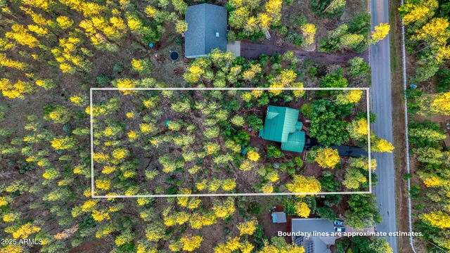 an aerial view of a house with a yard and outdoor seating