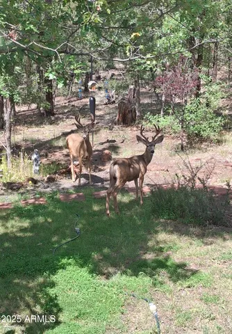 a close up of a sign board