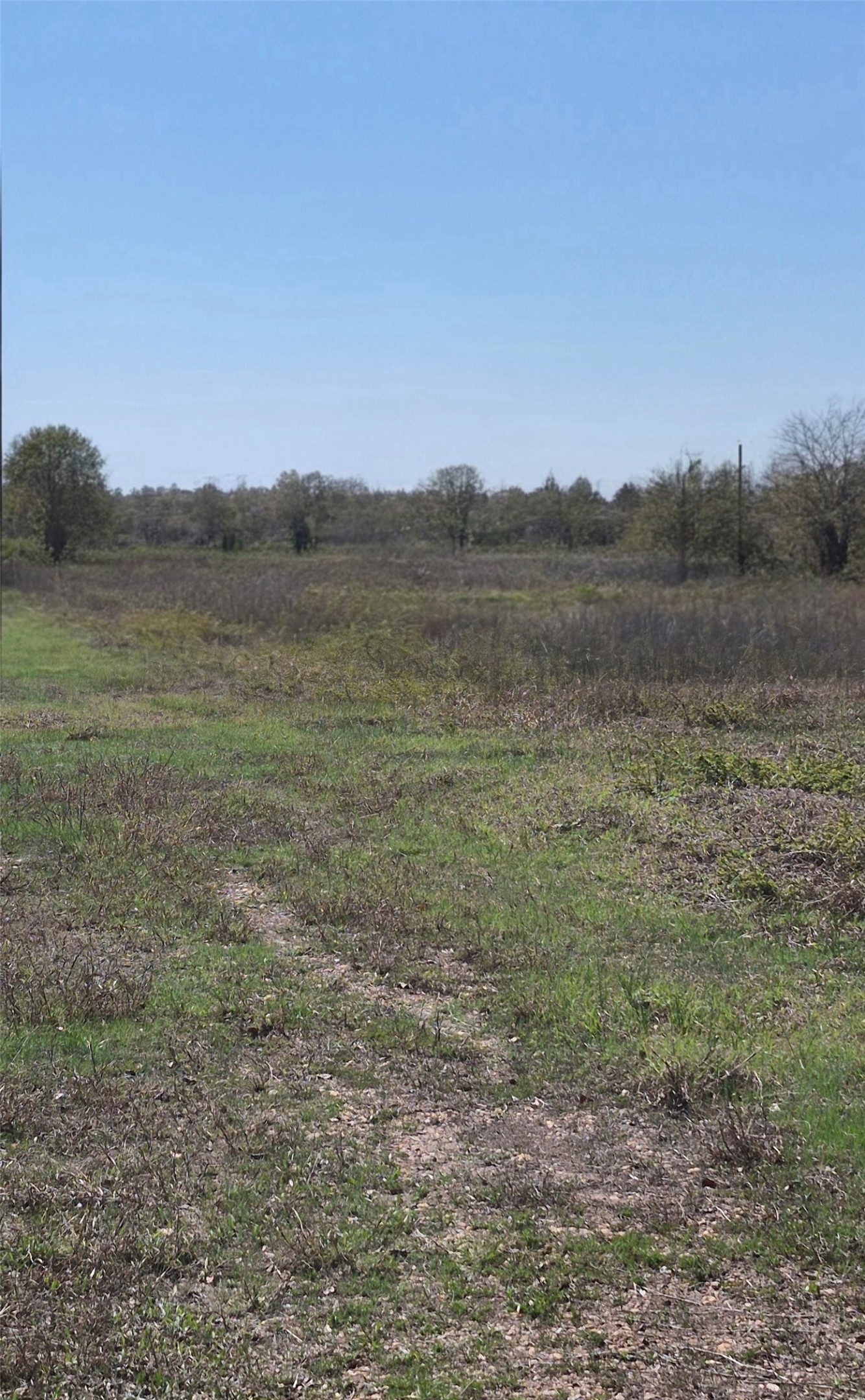 0 County Road 284 Edna, TX 77957 - Photo 3 of 5 a view of a field with an ocean