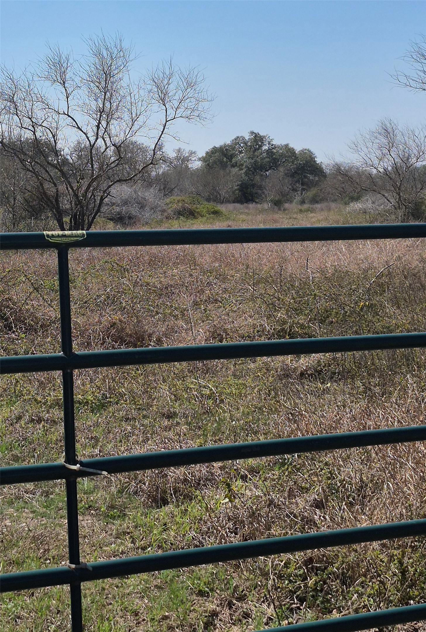 0 County Road 284 Edna, TX 77957 - Photo 4 of 5 a view of a lake from a balcony