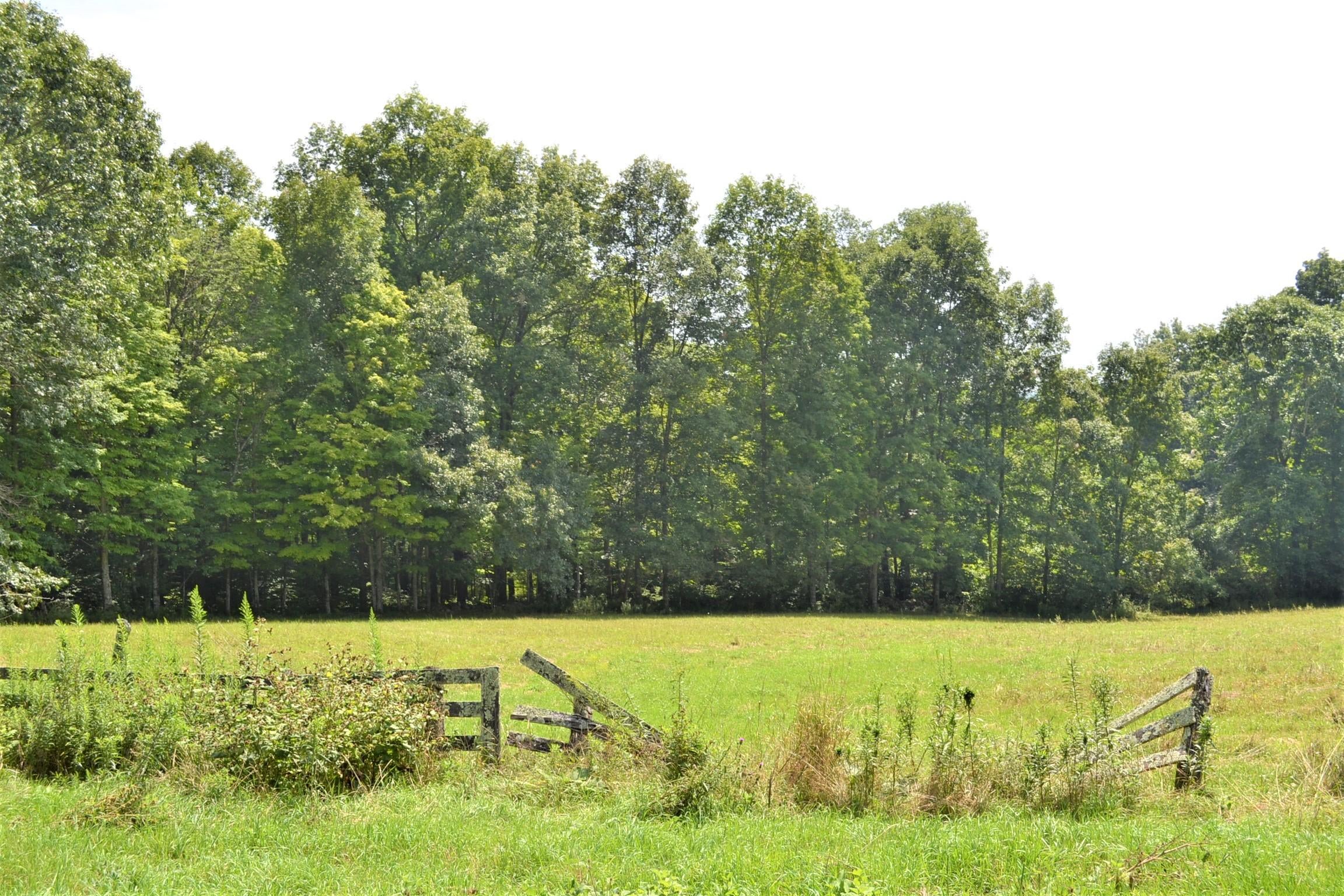 590 Arbaugh Road Williamsburg, WV 24991 - Photo 14 of 43 Gallery Image 14
