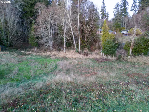 a view of a backyard with trees