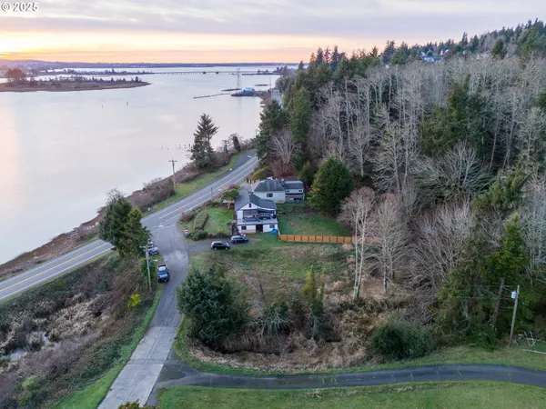 a view of a yard with plants