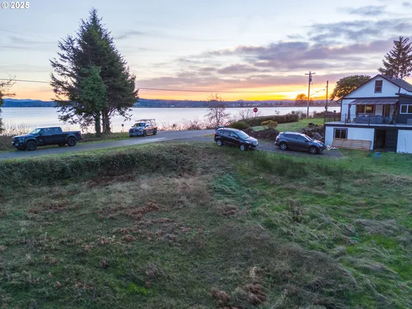 a view of a yard with large trees