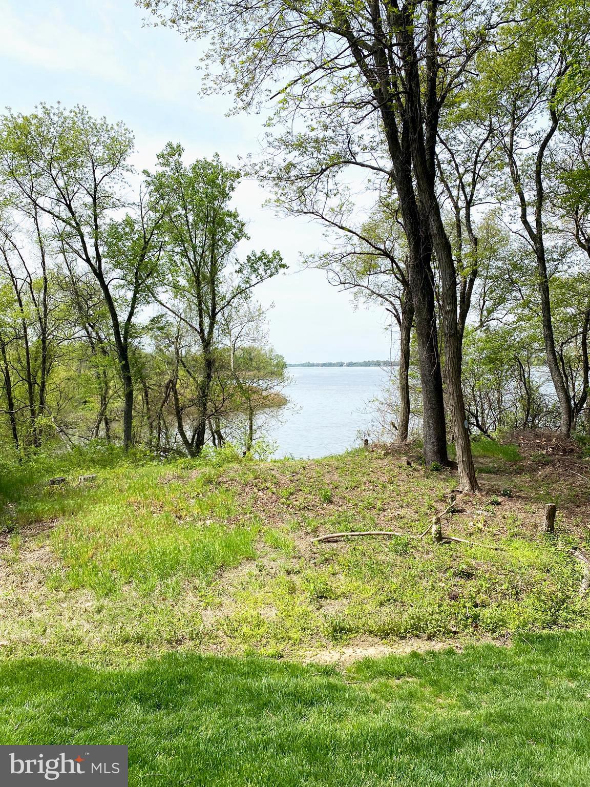 70 River Lane Delanco, NJ 08075 - Photo 26 of 35 a view of a yard with an trees