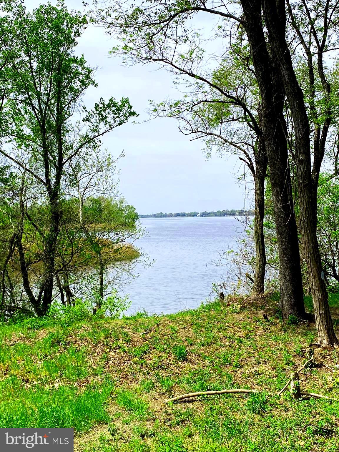 70 River Lane Delanco, NJ 08075 - Photo 27 of 35 a view of a yard with a tree