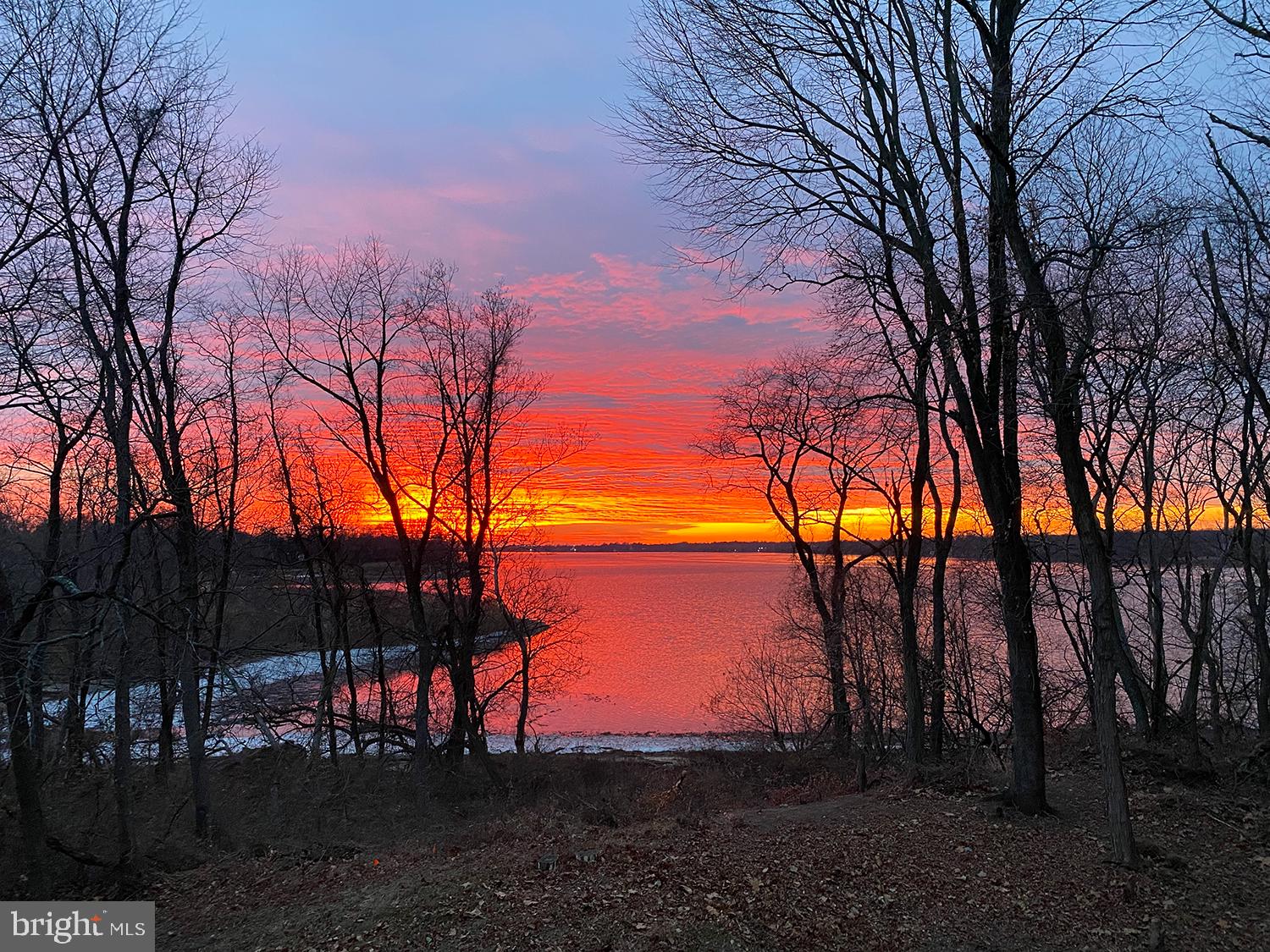 70 River Lane Delanco, NJ 08075 - Photo 28 of 35 a view of mountain view with lots of trees