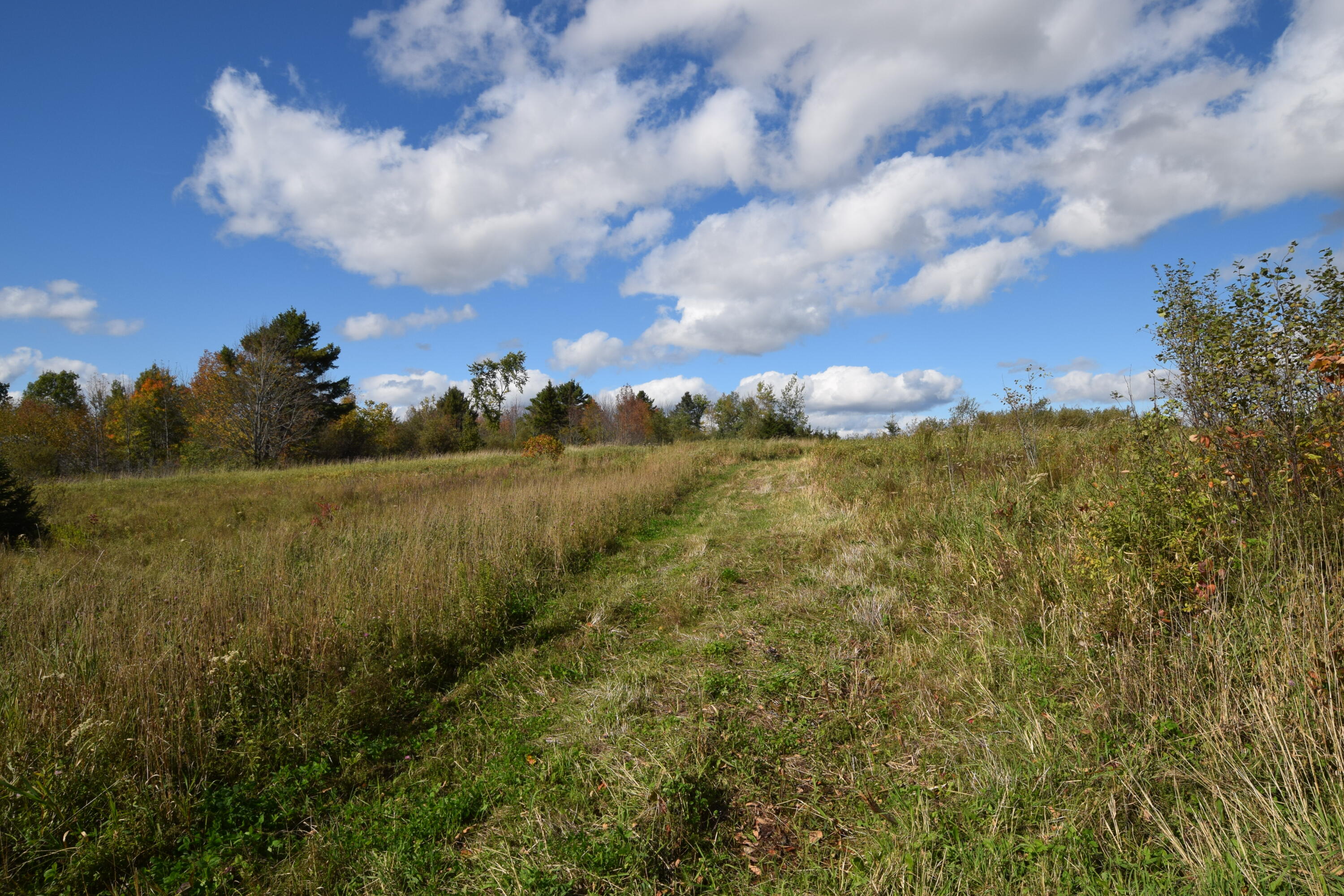 Lot 5 Barleyville Road Patten, ME 04765 - Photo 9 of 45 Beautiful fall day...