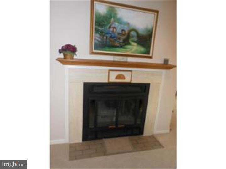 102 Chase Road, Unit 101 Wayne, PA 19087 - Photo 3 of 12 Fireplace