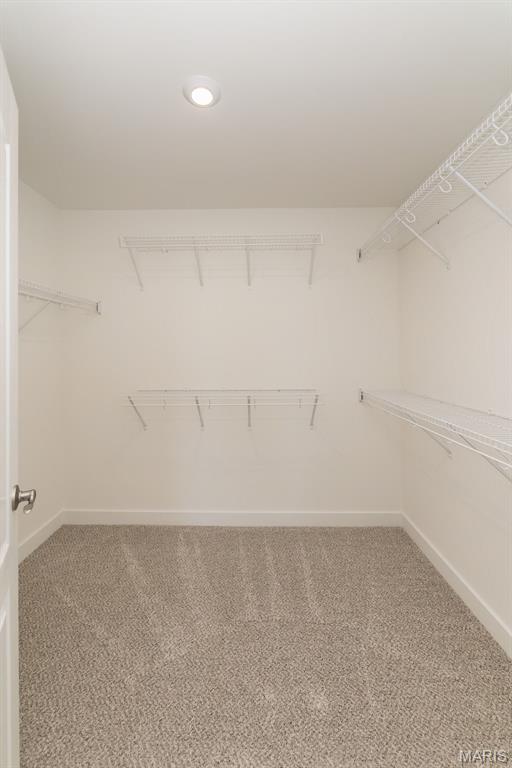 312 Indigo Court, Unit 37303 Chesterfield, MO 63005 - Photo 28 of 49