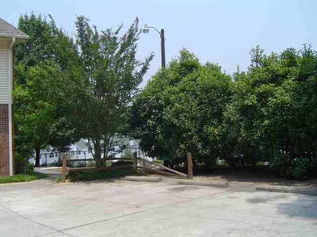 217 Cochran Road Clemson, SC 29631 - Photo 7 of 9 Gallery Image 7