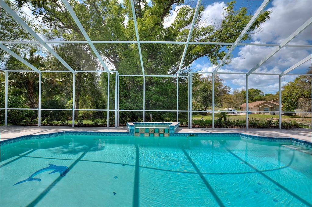 419 Silas Court Spring Hill, FL 34609 - Photo 46 of 56 a view of yard with furniture and tub