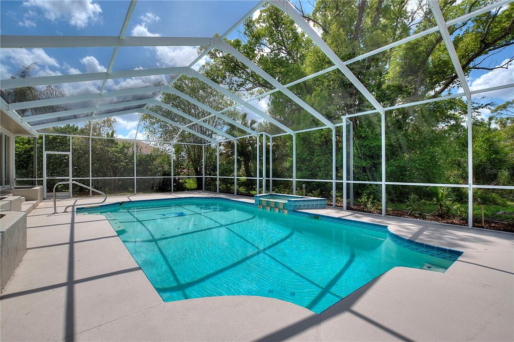 419 Silas Court Spring Hill, FL 34609 - Photo 47 of 56