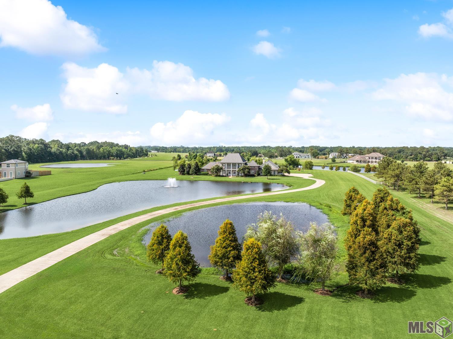 21910 Rabbit Run Drive Baton Rouge, LA 70817 - Photo 50 of 59