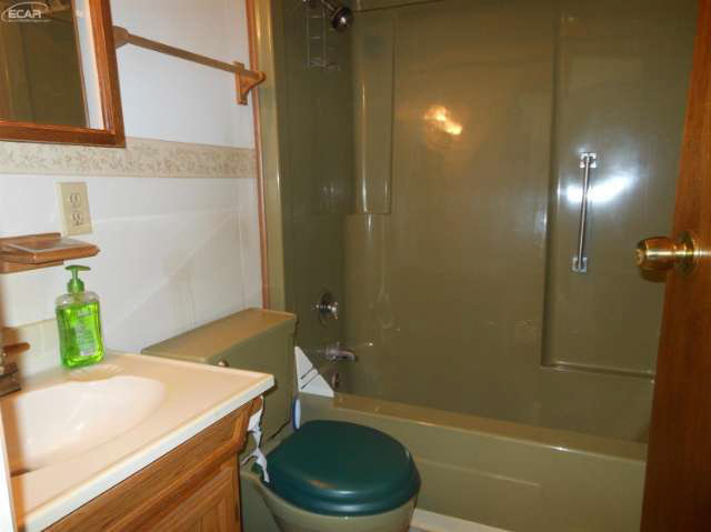2637 O Brien Road Mayville, MI 48744 - Photo 11 of 18 21206084-10.JPG