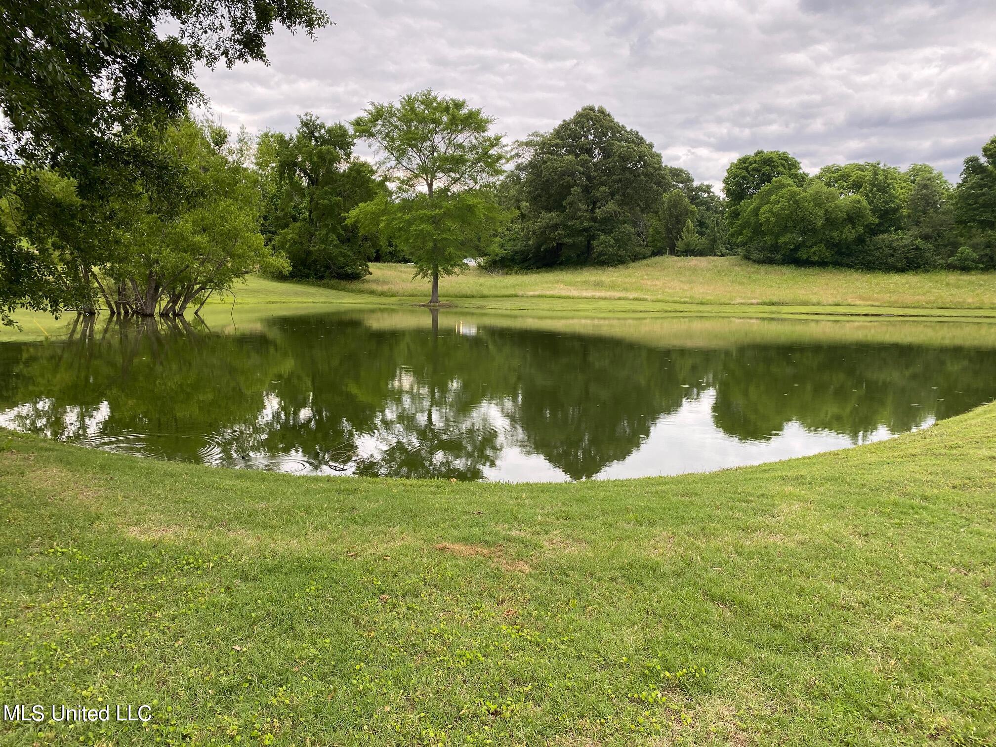 9025 Arkabutla Road Coldwater, MS 38618 - Photo 40 of 53 Another View of Stocked Pond