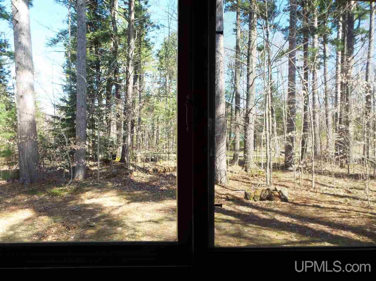 8896 Boot Lake Road Manistique, MI 49854 - Photo 21 of 22 Gallery Image 21