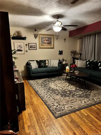 a living room with furniture and a rug