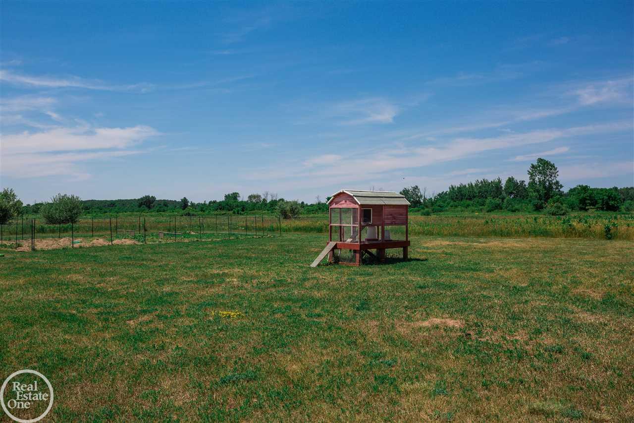 4381 East Wellman Line Road Jeddo, MI 48032 - Photo 9 of 38 31352224-8.JPG