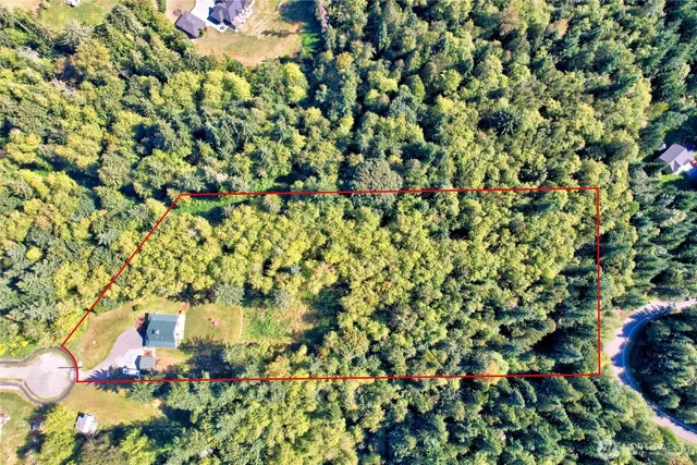 a view of a tree with a plant