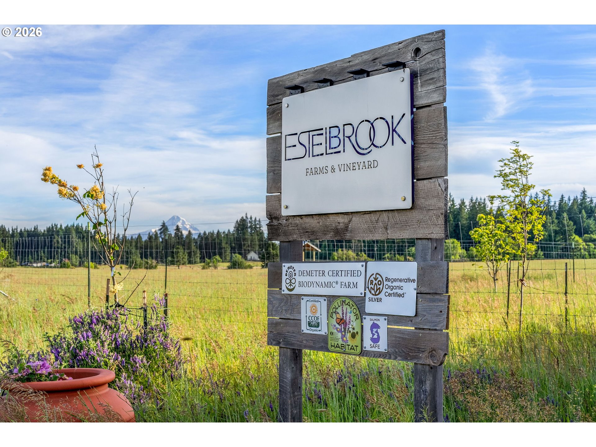 319 Bates Road White Salmon, WA 98672 - Photo 42 of 48