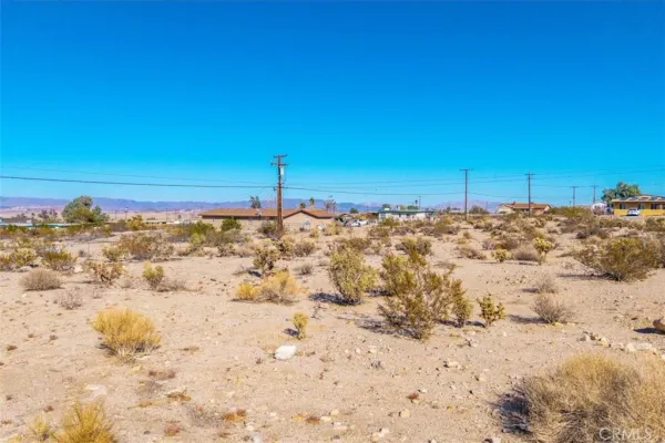 a view of a dry yard