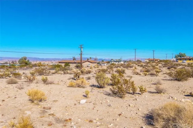 a view of a dry yard