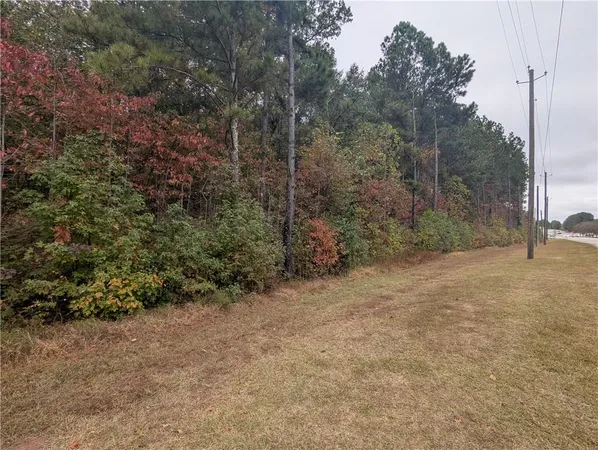 a view of a forest with trees