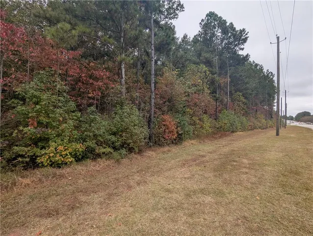 a view of a forest with trees