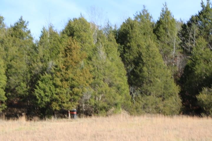 Froedge Dubree Road Summer Shade, KY 42166 - Photo 16 of 37 Gallery Image 16